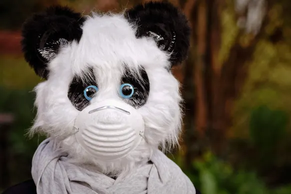 Stay Casino Stuðningur